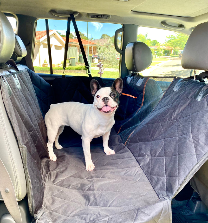 Premium Hammock Pet Car Seat Cover + FREE Pet Seat Belt