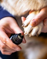 Pet nail grinder