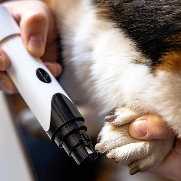 Pet nail grinder