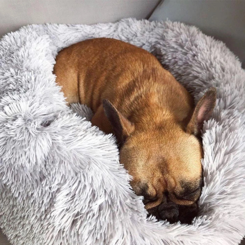 Self-Warming Calming Dog Bed