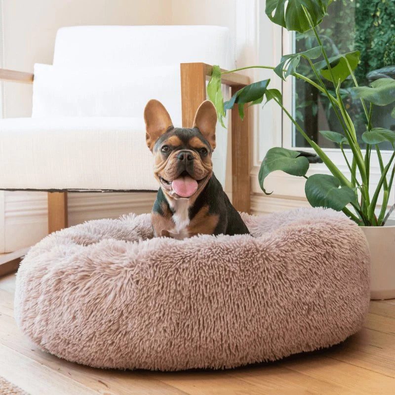 Self-Warming Calming Dog Bed